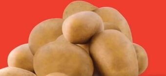 Hofer Kartoffeln Angebot