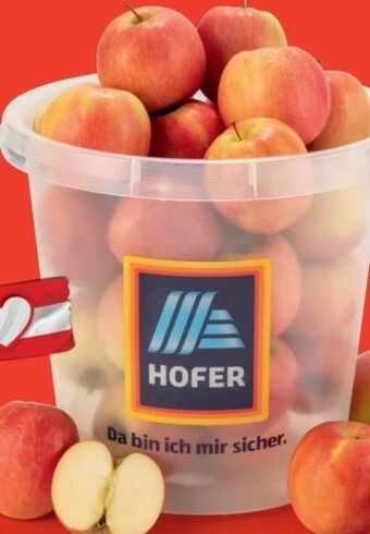 Hofer Äpfel Angebot