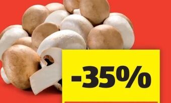 Hofer Champignons Angebot