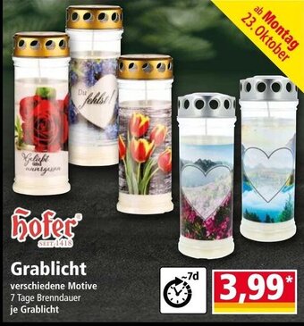 Norma Grablicht Angebot