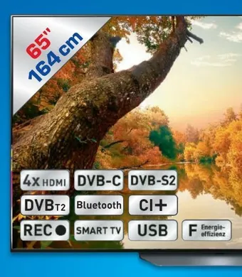 Metro Oled tv 65b39la Angebot