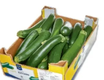 Metro Zucchini Angebot