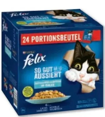 Metro Felix katzennassnahrung Angebot