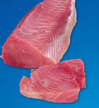 Metro Thunfisch loins Angebot