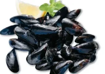 Metro Miesmuscheln Angebot