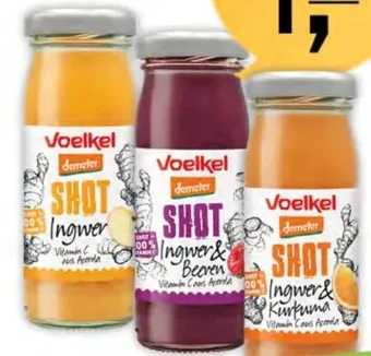 Martin Reformstark Shot ingwer Angebot