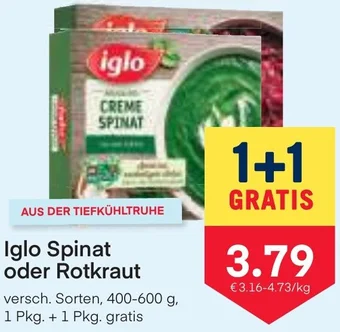 MPreis Iglo Spinat oder Rotkraut 400-600 g Angebot