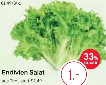 MPreis Endivien Salat Angebot