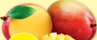 PENNY Mango Angebot