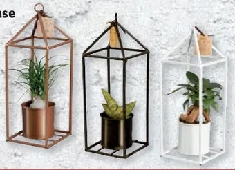 Lidl Easy care greenhouse Angebot