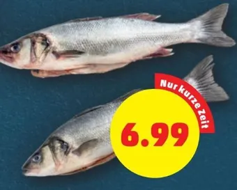 PENNY Wolfsbarsch Angebot