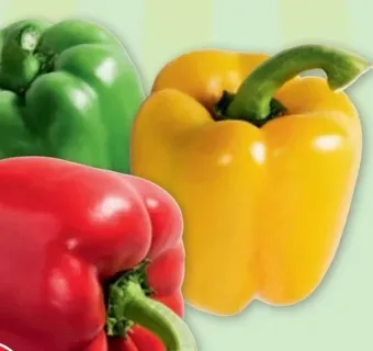 PENNY Paprika tricolore Angebot
