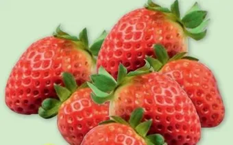 PENNY Erdbeeren Angebot