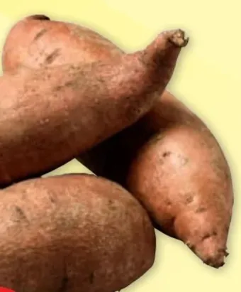 PENNY Susskartoffeln Angebot