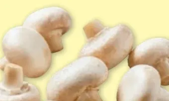 PENNY Champignons Angebot