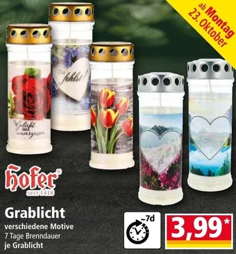 Norma Grablicht Angebot