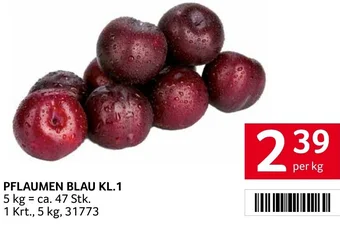 Transgourmet PFLAUMEN BLAU KL.1 per kg Angebot
