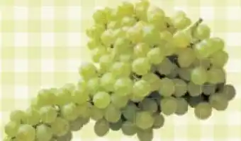 Maximarkt Trauben Angebot