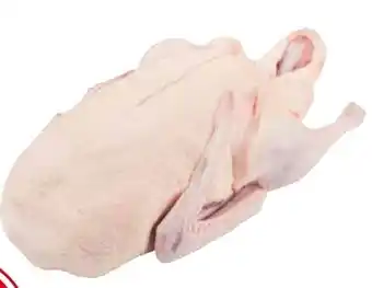 Transgourmet Ungarische ente grillfertig Angebot