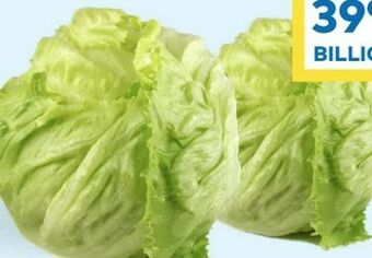 T&G Eissalat Angebot