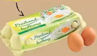 Maximarkt Eier Angebot