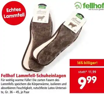 Interspar Fellhof Lammfell-Schuheinlagen Angebot