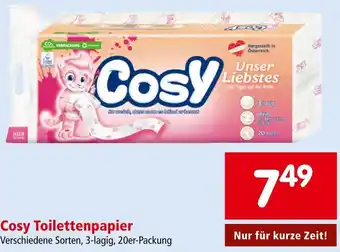 Interspar Cosy Toilettenpapier Angebot