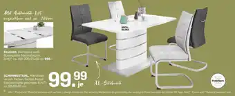 Möbel Ludwig SCHWINGSTUHL Angebot