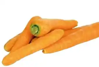 Transgourmet Bio karotten Angebot