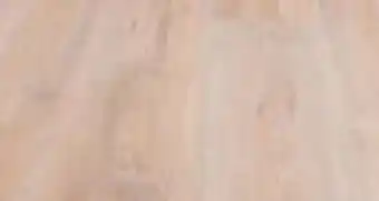 Hagebau Laminatboden eiche summers Angebot