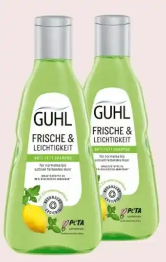 Interspar Shampoo Angebot