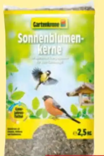 Hagebau Sonnenblumenkerne Angebot