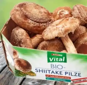 Eurospar Bio-shiitake pilze Angebot
