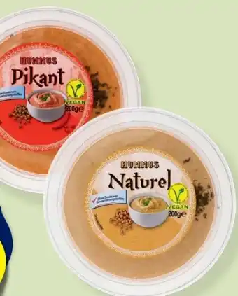Hofer Hummus Angebot