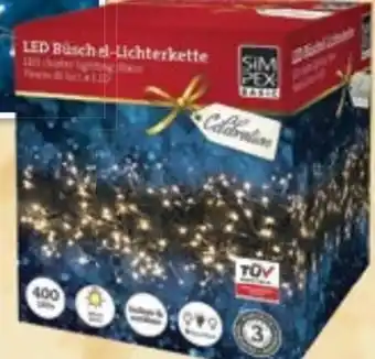 Maximarkt Celebration led büschel-lichterkette Angebot
