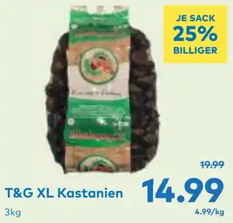T&G T&G XL Kastanien Angebot