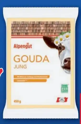 Lidl Gouda jung Angebot