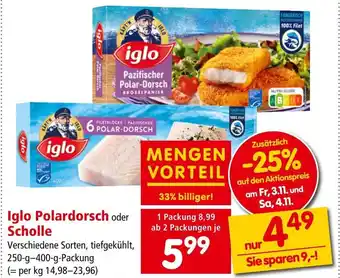 Interspar Iglo Polardorsch oder Scholle Angebot