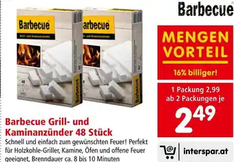 Interspar Barbecue Grill- und Kaminanzünder 48 Stück Angebot