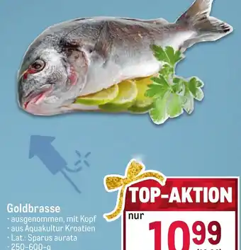 Metro Goldbrasse 250-600 g Angebot