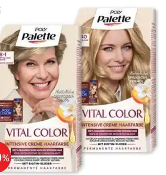 PENNY Poly palette creme-haarfarbe Angebot