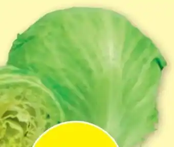 PENNY Eissalat Angebot