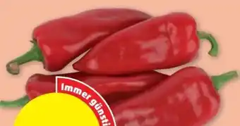 PENNY Spitzpaprika Angebot