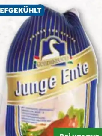 ADEG Junge ente Angebot
