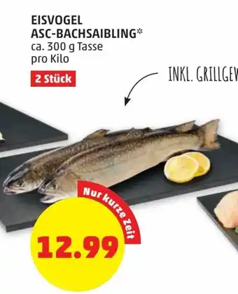 PENNY Eisvogel Asc-Bachsaibling 300g Angebot