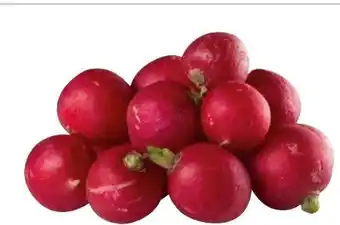 Transgourmet Snack radieschen Angebot