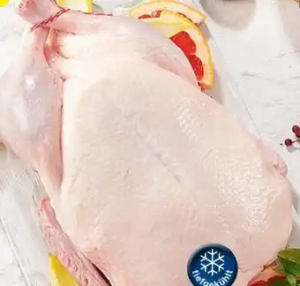 Spar Junge ente Angebot