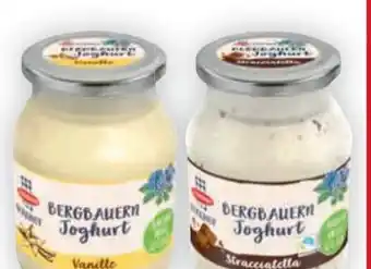 Billa Berghof joghurt Angebot