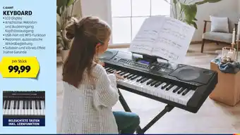 Hofer C.GIANT KEYBOARD Angebot