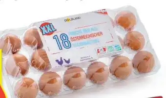 Hofer Eier Angebot